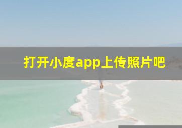 打开小度app上传照片吧