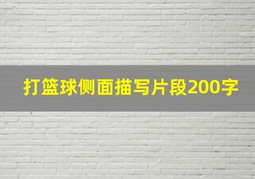 打篮球侧面描写片段200字