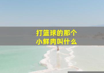 打篮球的那个小鲜肉叫什么