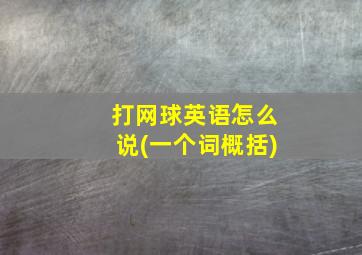 打网球英语怎么说(一个词概括)