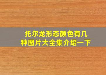 托尔龙形态颜色有几种图片大全集介绍一下