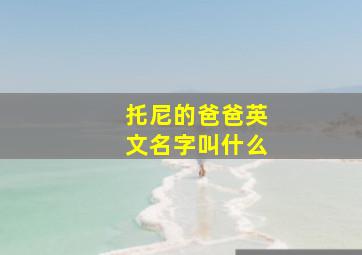 托尼的爸爸英文名字叫什么