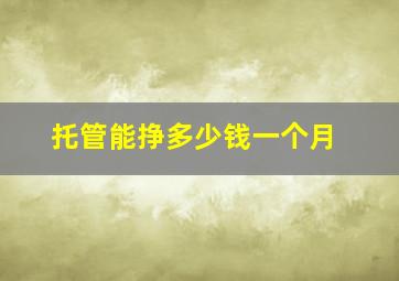 托管能挣多少钱一个月