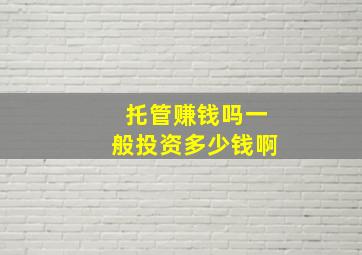 托管赚钱吗一般投资多少钱啊