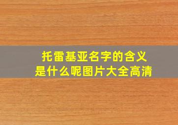 托雷基亚名字的含义是什么呢图片大全高清