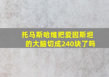 托马斯哈维把爱因斯坦的大脑切成240块了吗