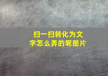 扫一扫转化为文字怎么弄的呢图片