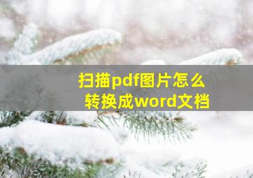 扫描pdf图片怎么转换成word文档