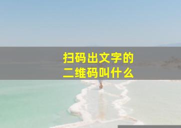 扫码出文字的二维码叫什么