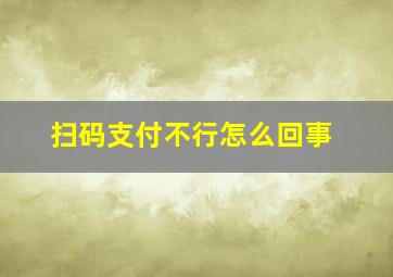 扫码支付不行怎么回事