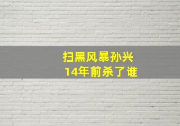 扫黑风暴孙兴14年前杀了谁