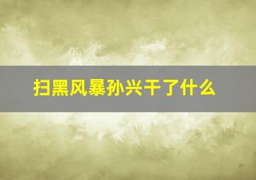 扫黑风暴孙兴干了什么