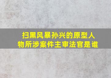 扫黑风暴孙兴的原型人物所涉案件主审法官是谁