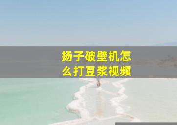 扬子破壁机怎么打豆浆视频