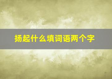 扬起什么填词语两个字