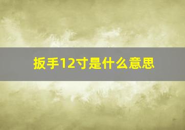 扳手12寸是什么意思