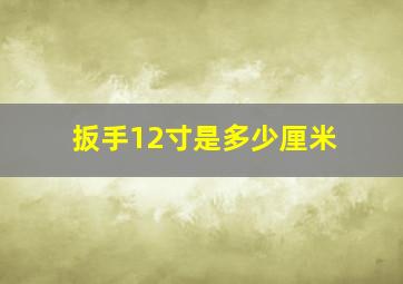 扳手12寸是多少厘米