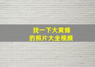 找一下大黄蜂的照片大全视频