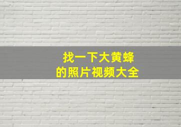 找一下大黄蜂的照片视频大全