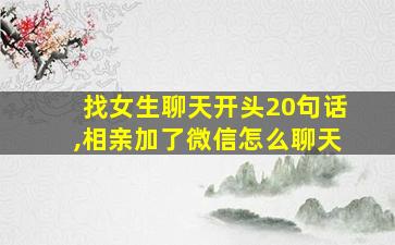 找女生聊天开头20句话,相亲加了微信怎么聊天