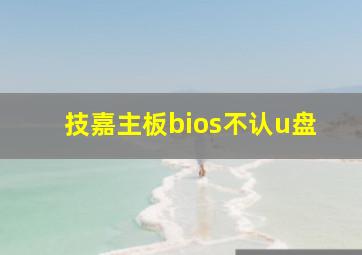 技嘉主板bios不认u盘