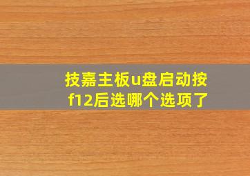 技嘉主板u盘启动按f12后选哪个选项了