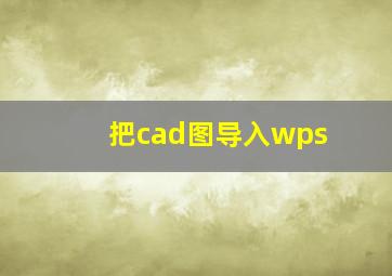 把cad图导入wps