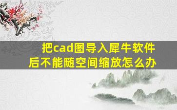 把cad图导入犀牛软件后不能随空间缩放怎么办