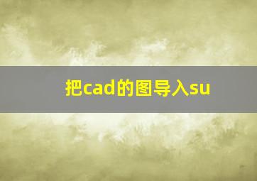 把cad的图导入su