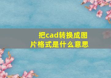 把cad转换成图片格式是什么意思