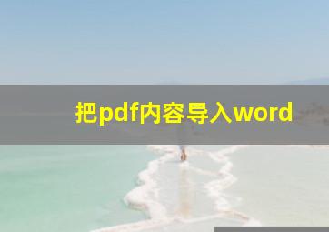 把pdf内容导入word