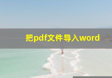 把pdf文件导入word