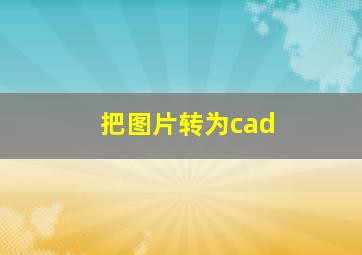 把图片转为cad