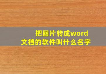 把图片转成word文档的软件叫什么名字