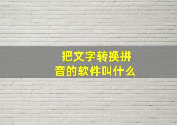 把文字转换拼音的软件叫什么