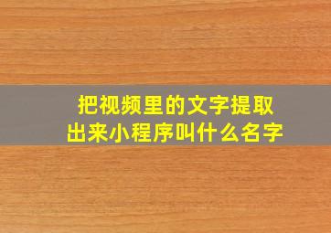 把视频里的文字提取出来小程序叫什么名字