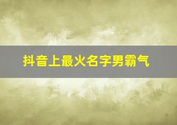 抖音上最火名字男霸气