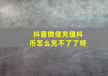 抖音微信充值抖币怎么充不了了呀