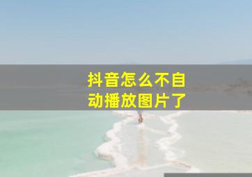 抖音怎么不自动播放图片了