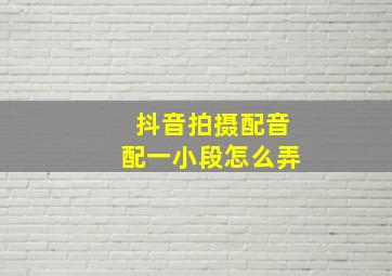 抖音拍摄配音配一小段怎么弄