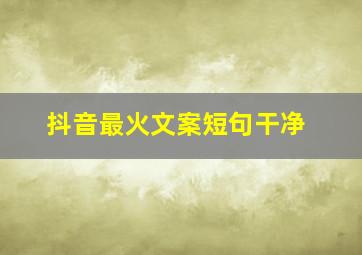 抖音最火文案短句干净