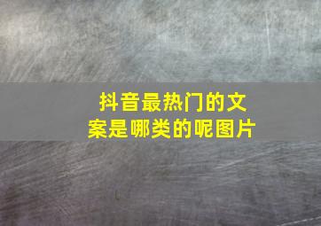 抖音最热门的文案是哪类的呢图片