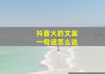 抖音火的文案一句话怎么说