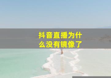 抖音直播为什么没有镜像了