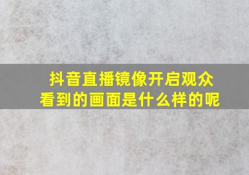 抖音直播镜像开启观众看到的画面是什么样的呢