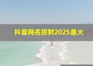 抖音网名招财2025最火