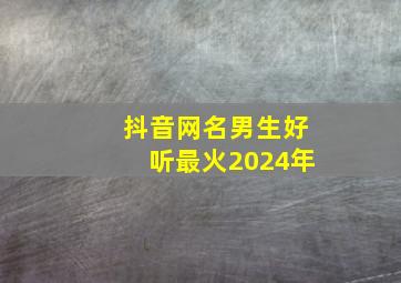 抖音网名男生好听最火2024年