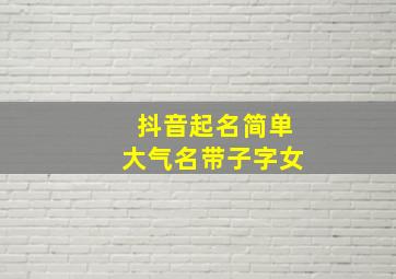 抖音起名简单大气名带子字女