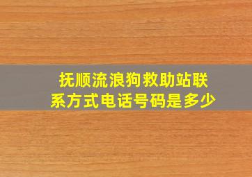 抚顺流浪狗救助站联系方式电话号码是多少