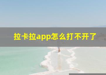 拉卡拉app怎么打不开了